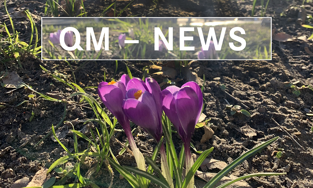 Bild QM News